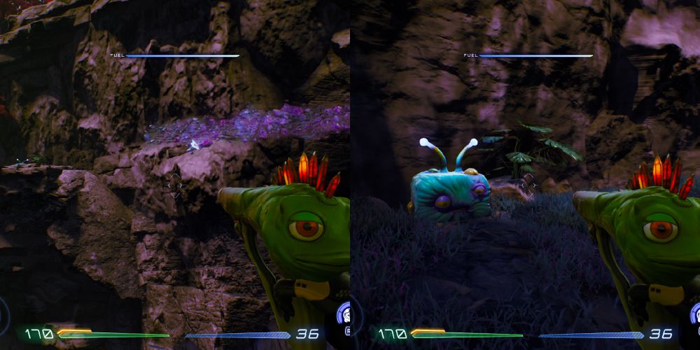 A magnetic path on the rock wall that leads to a ledge. A Luglox next to a small plant on top of a ledge.