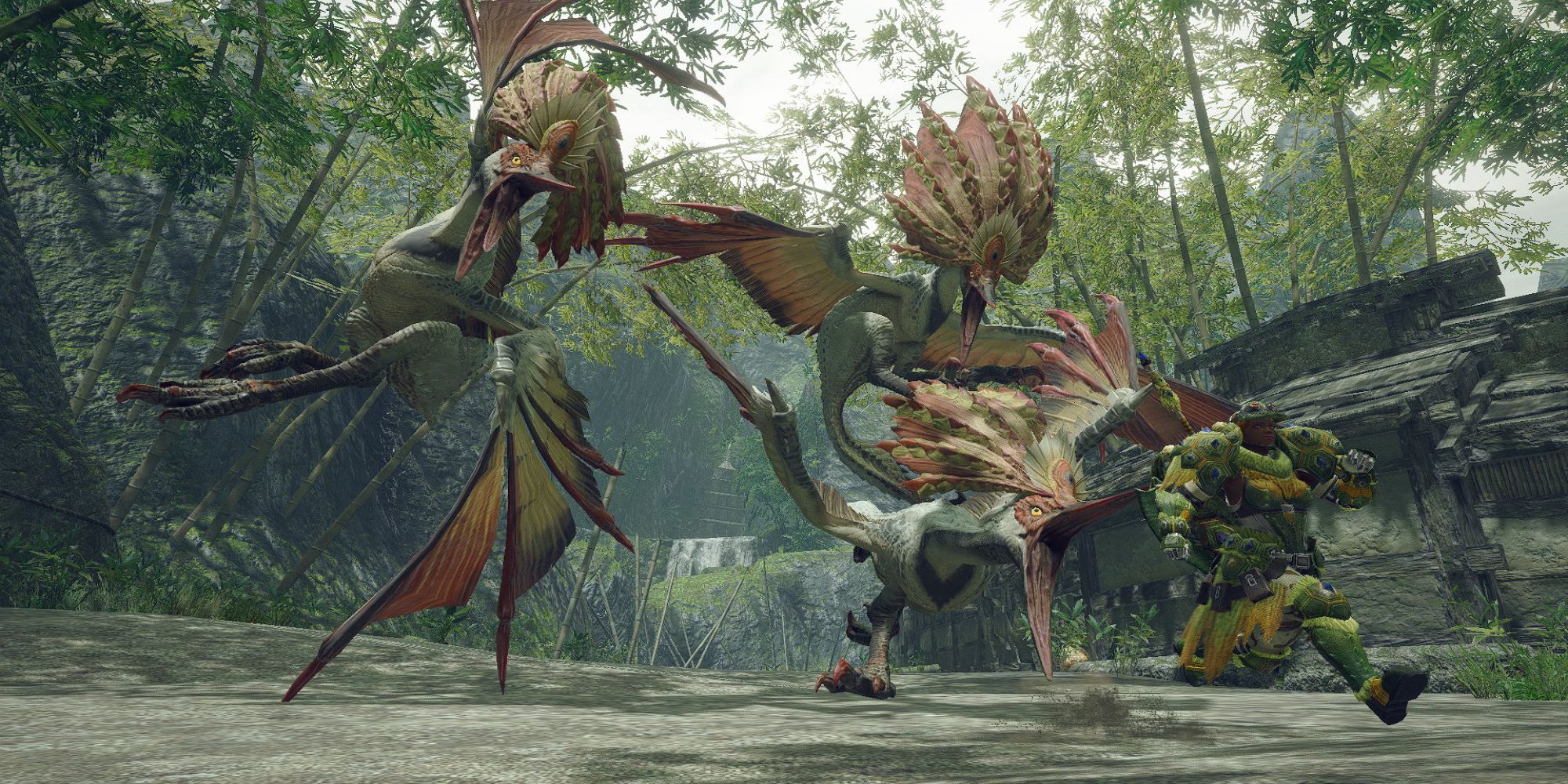Aknosom Monster Hunter Rise