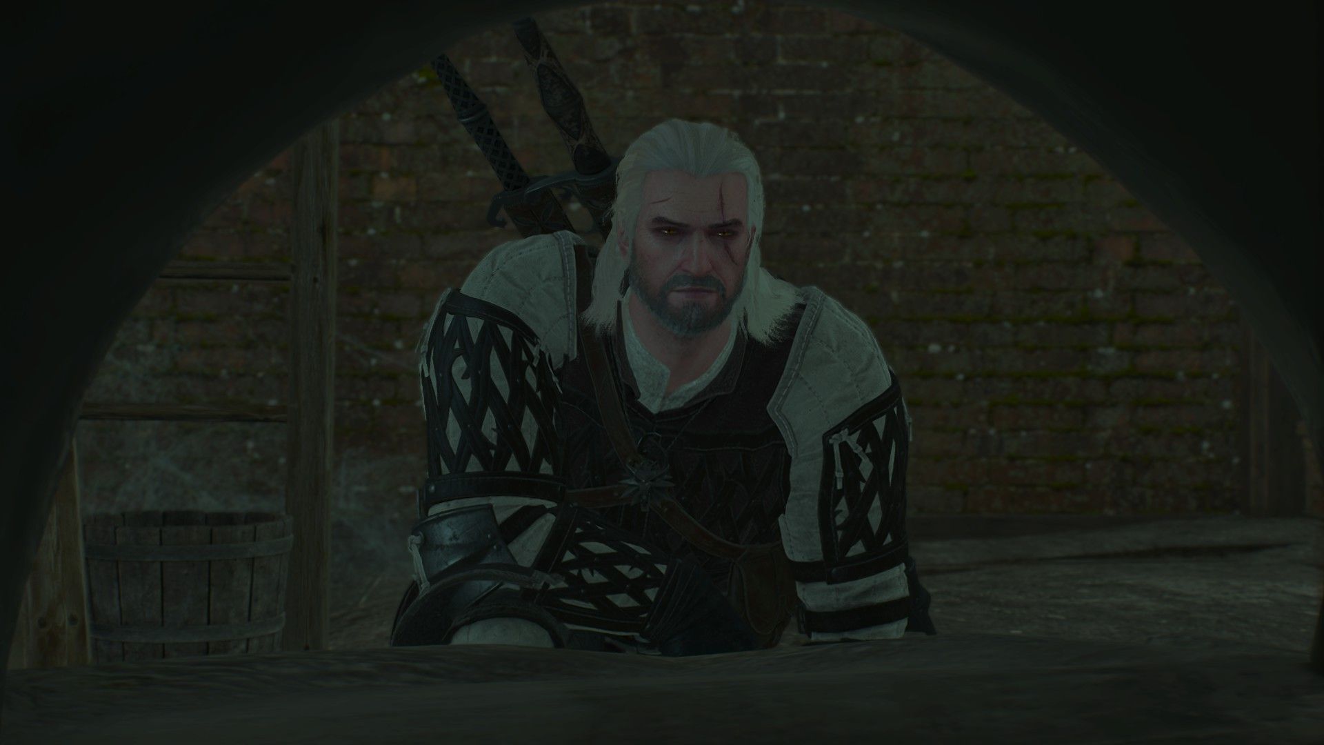 Geralt gives a bemused look as he peers into a stone oven in the basement of a brick-and-mortar house.
