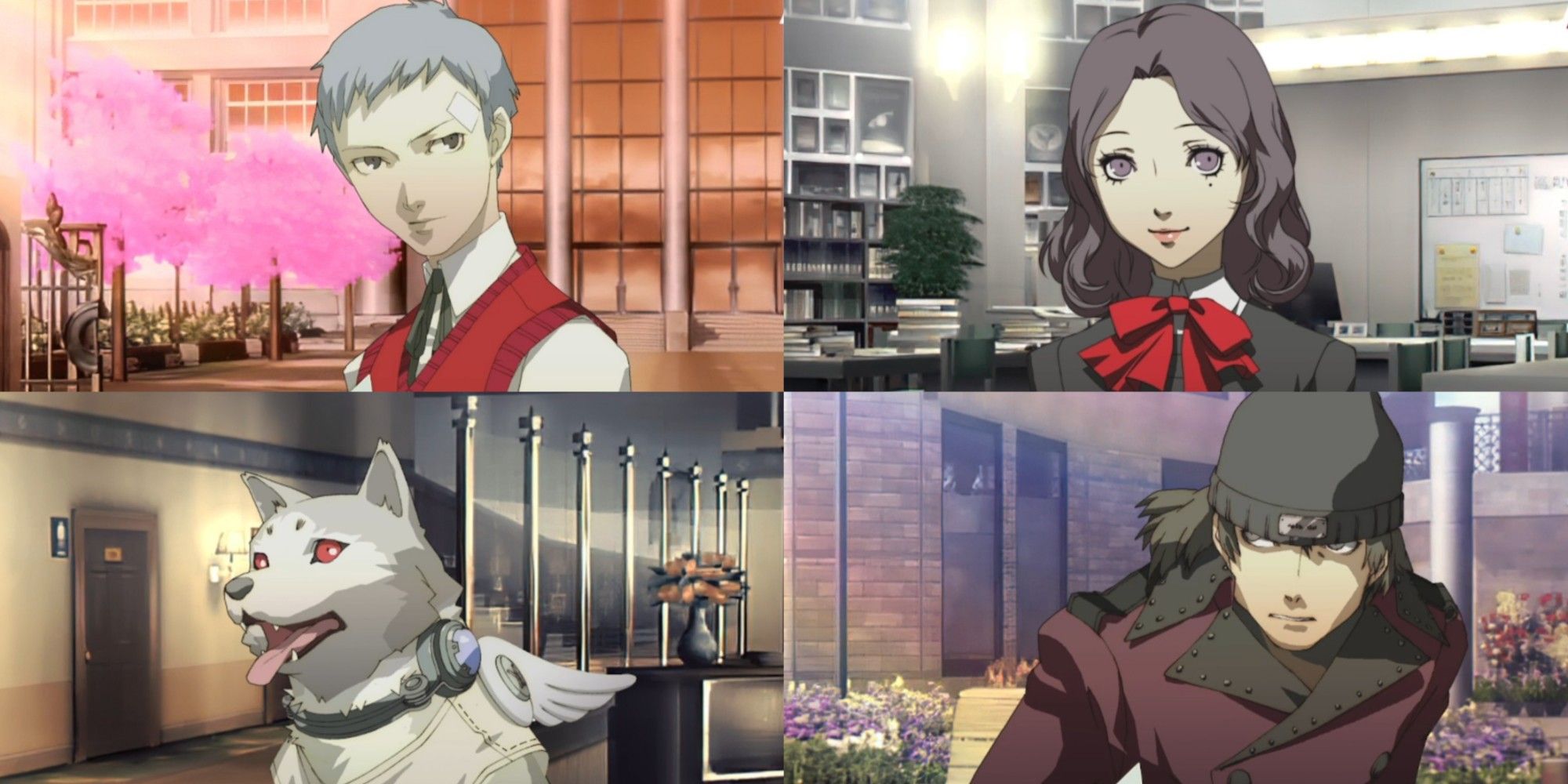collage of social links exclusive to the female persona 3 portable protagonist, including akihiko, saori, koromaru, and shinjiro