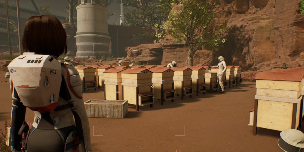 kat observes beekeepers at work in the unison colony