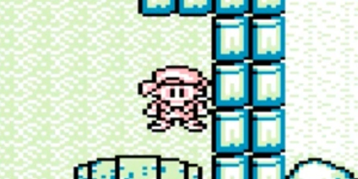harvest moon game boy main character