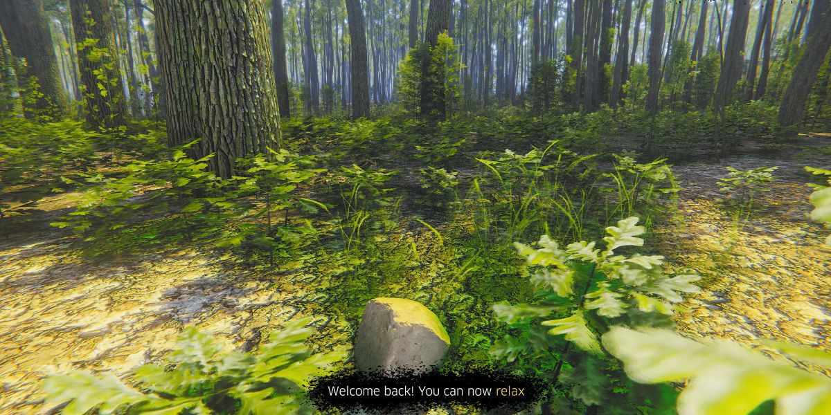 Mindfulness Simulator - ASMR Meditation Game Screenshot Of Rock In Forest