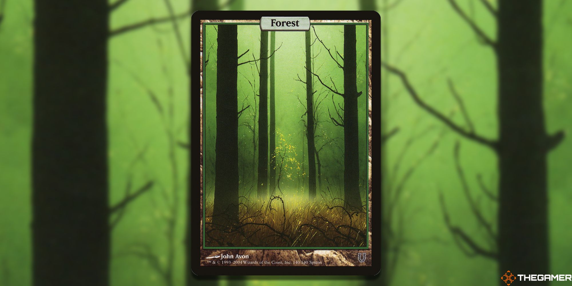 Image of the Forest card in Magic: The Gathering, with art by John Avon 