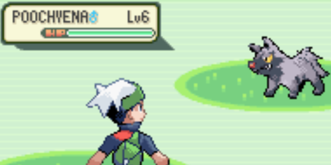 Player encountering a wild Poochyena.