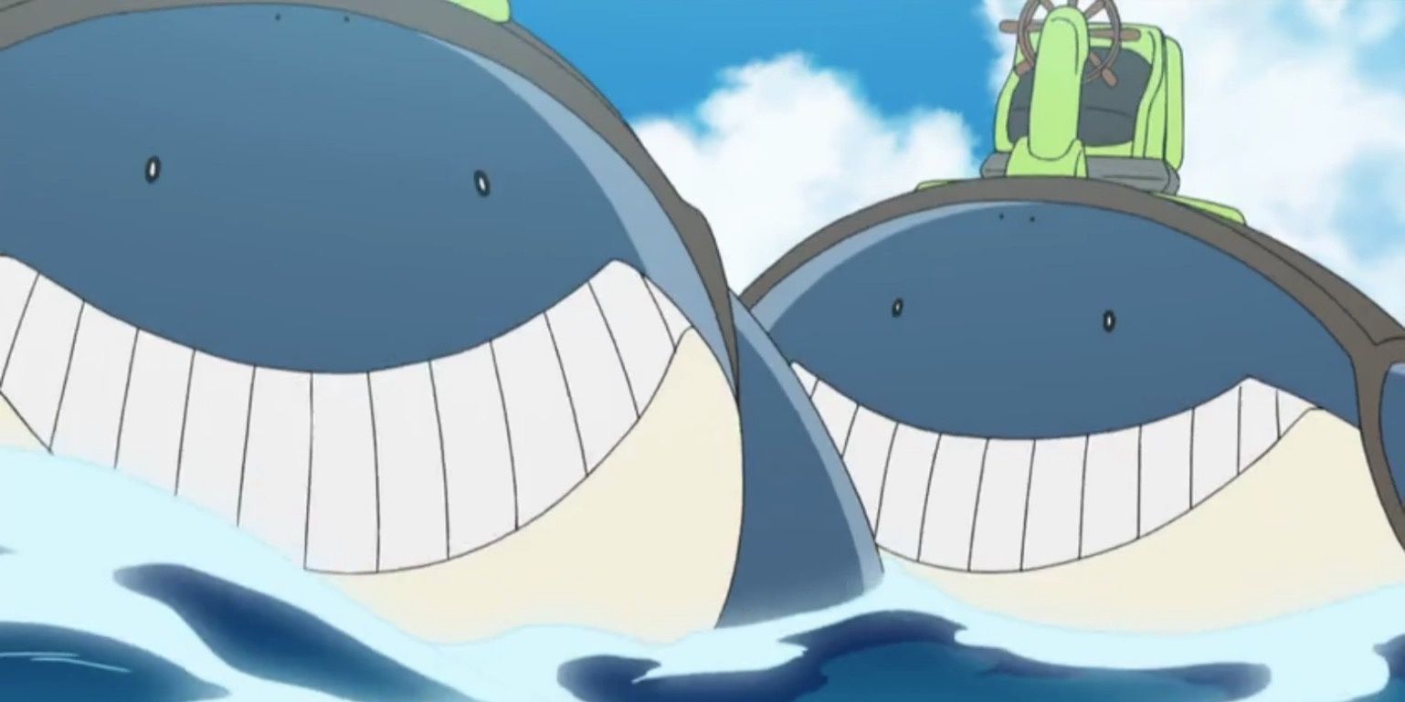 Two Wailmer in Poke Ride mode