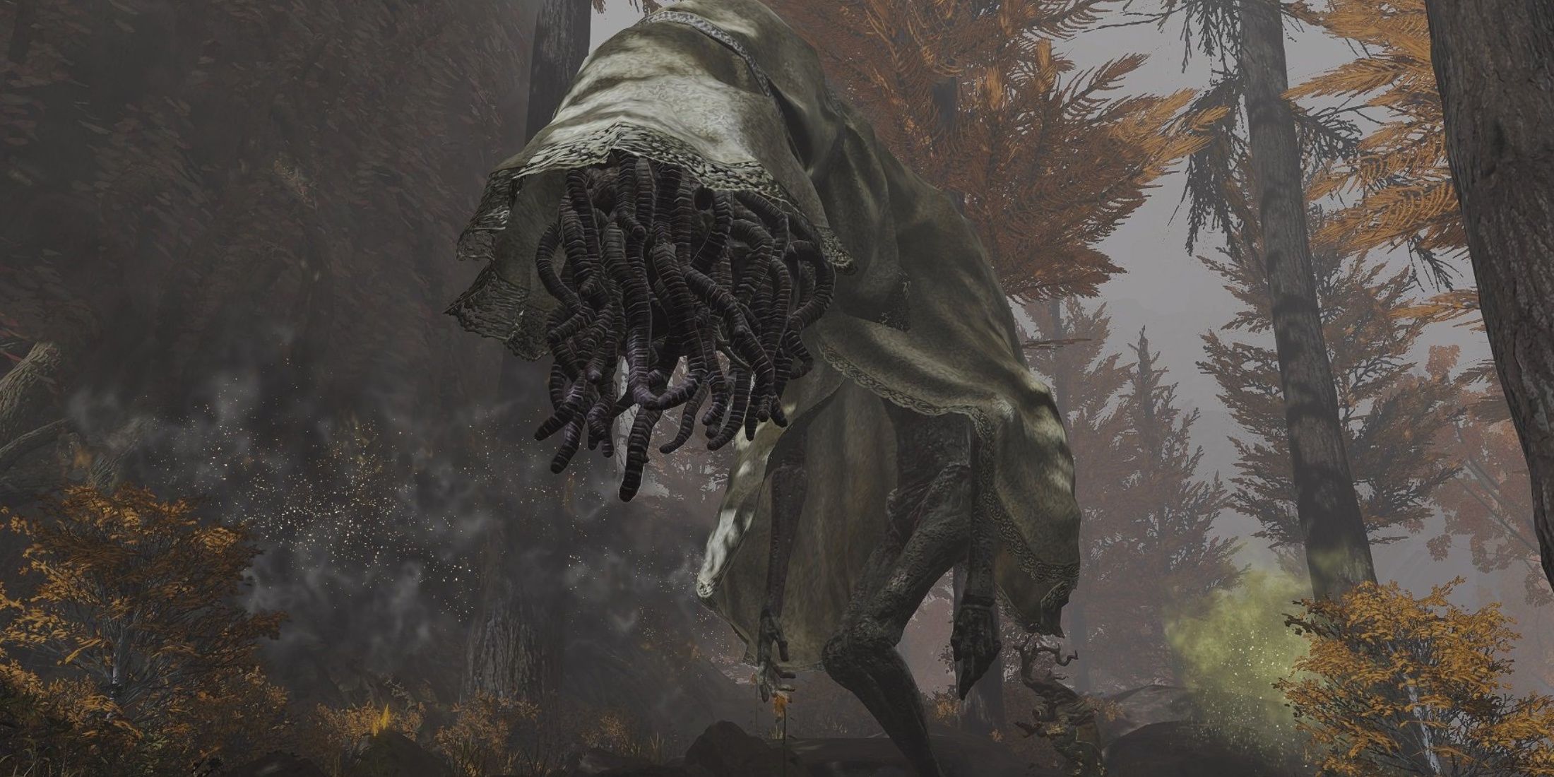 A Lesser Wormface lumbers through the trees.