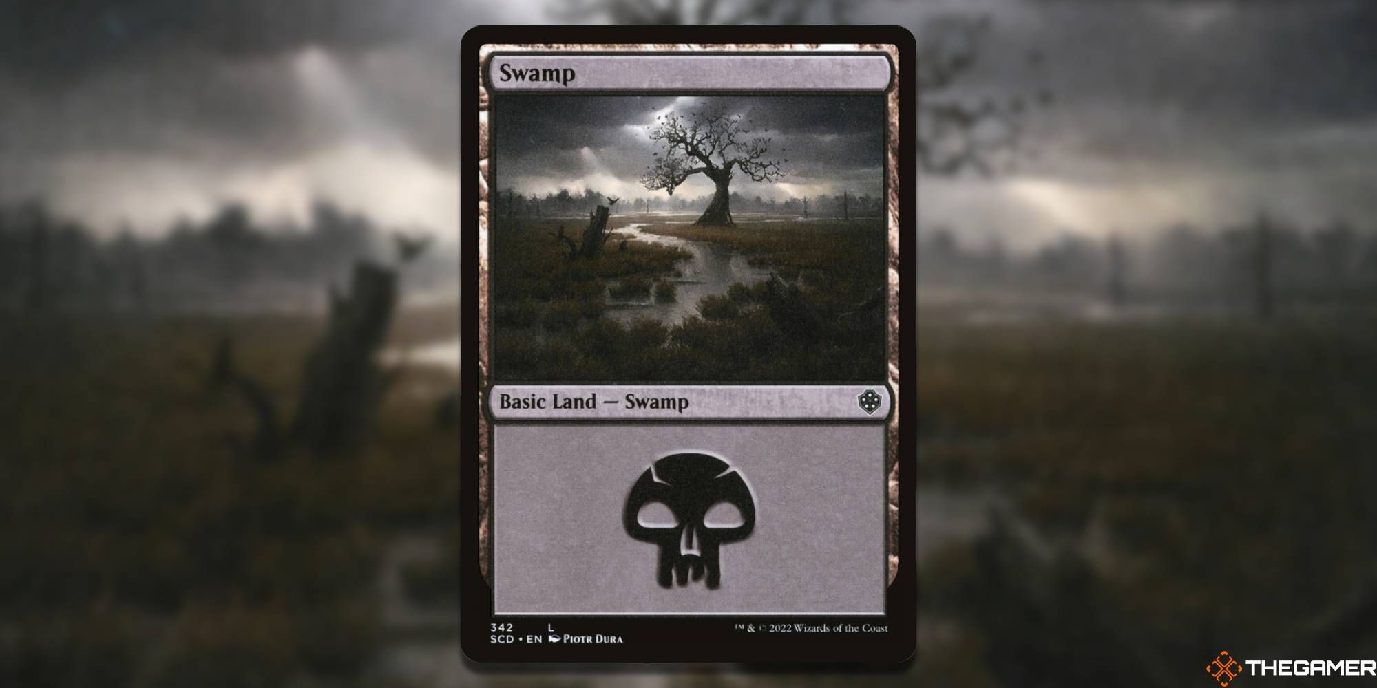 Swamp Commander Starter Deck by Piotr Dura, MTG land