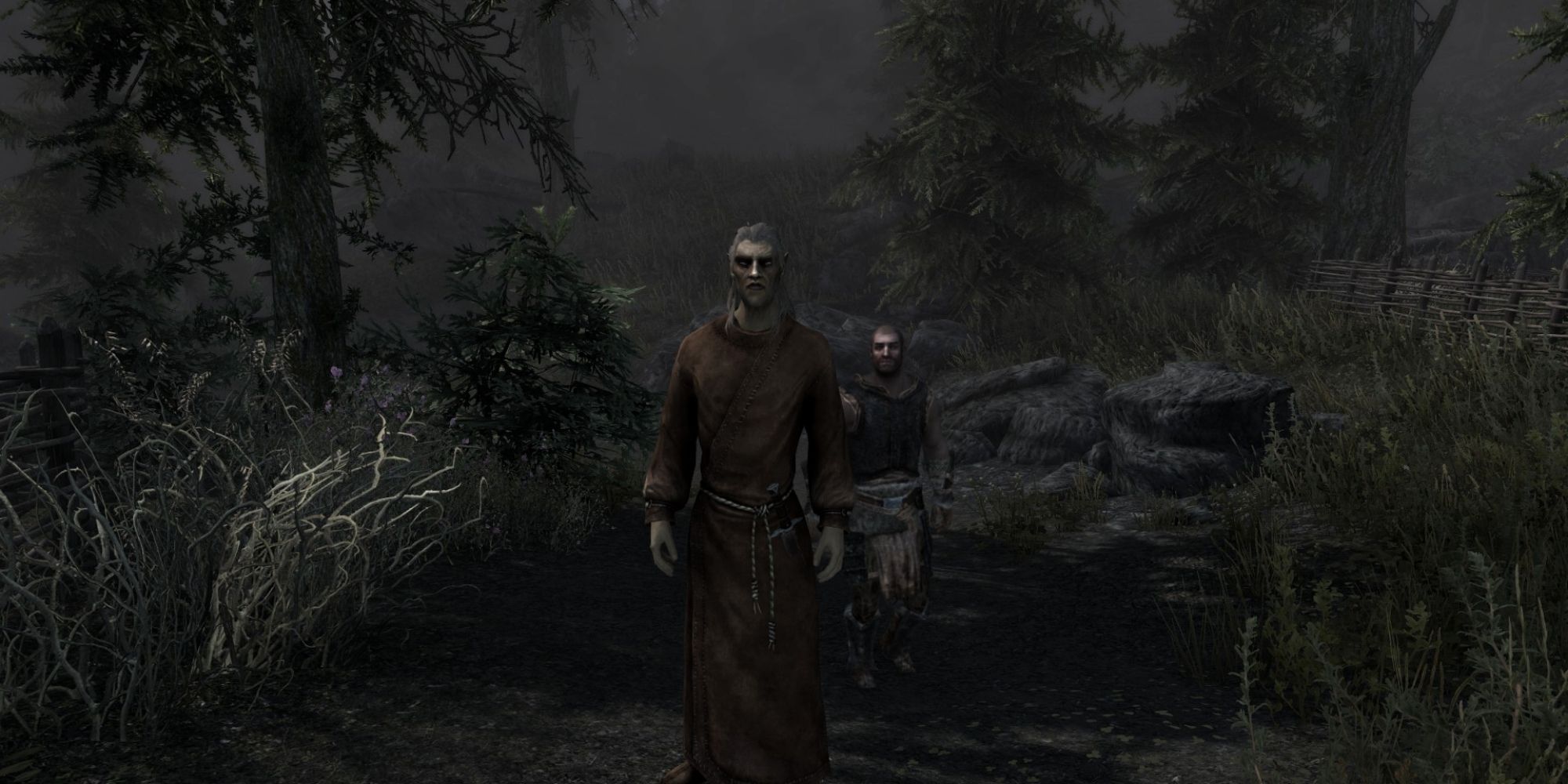 Runil walks toward the dragonborn by the Falkreath graveyard
