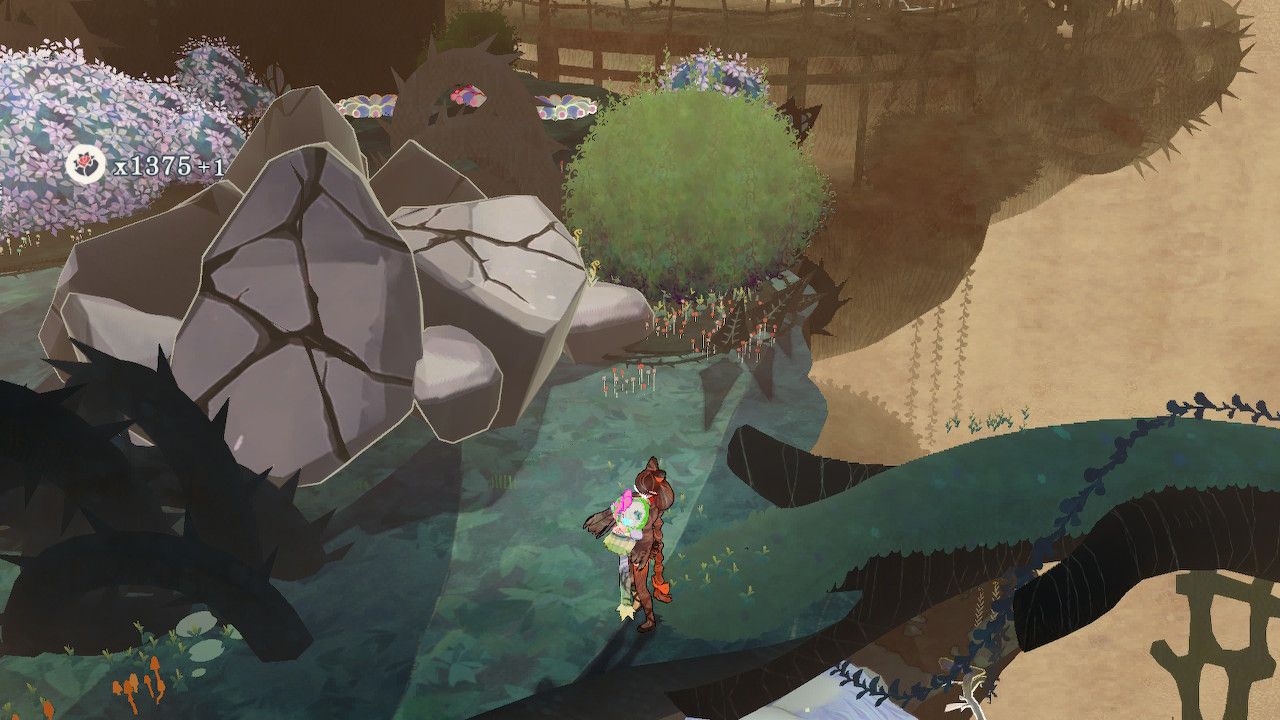 Cereza Returns To Boulder Wall In Sunspeckled Grove