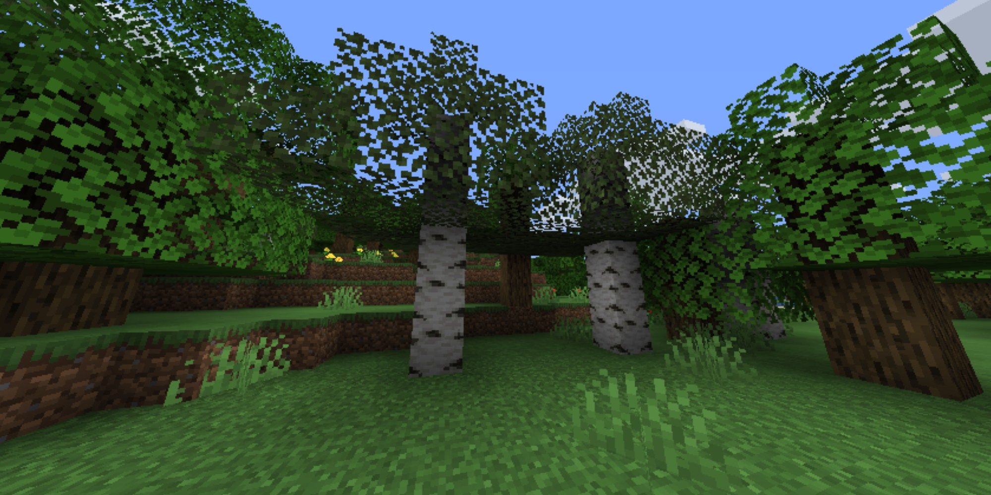 A POV of tree leaves in Minecraft while using the Cull Leaves mod