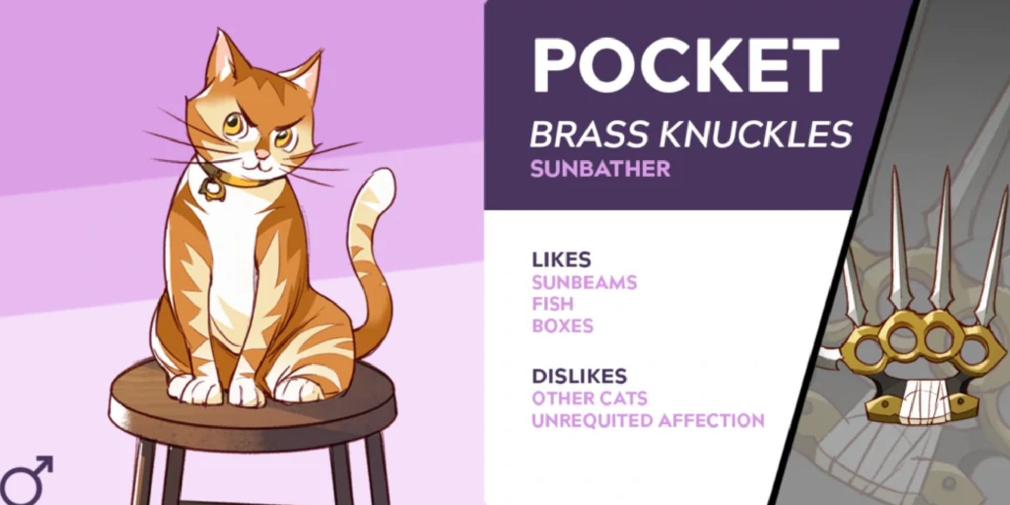 boyfriend dungeon pocket profile
