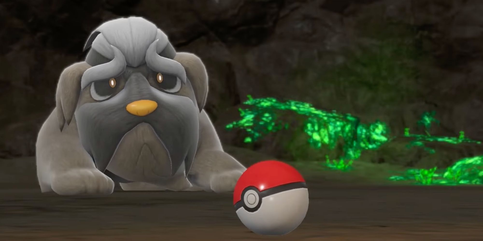 Mabosstiff and Pokeball from Pokemon Scarlet and Pokemon Violet