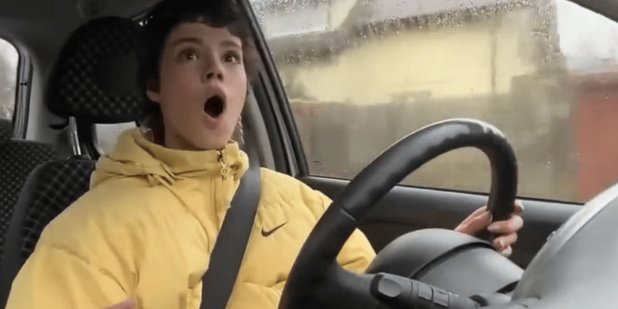 twitch streamer sidneuke after they ran over a dog