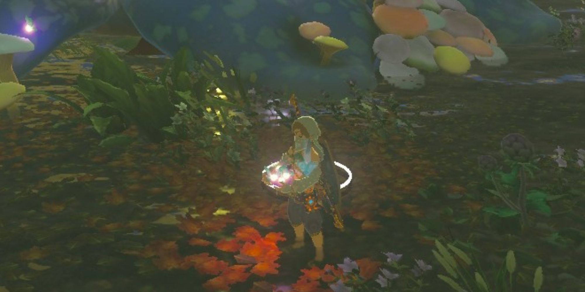 Link holding fairies next to a Fairy Fountain in Breath of the Wild