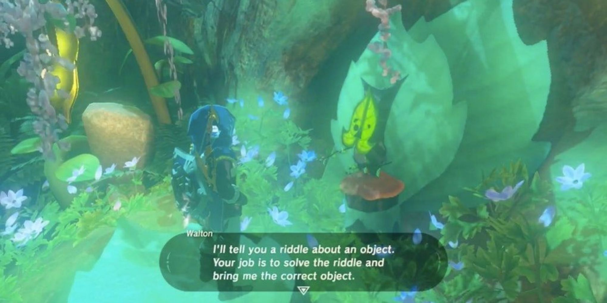 Link Speaking To Walton In BOTW