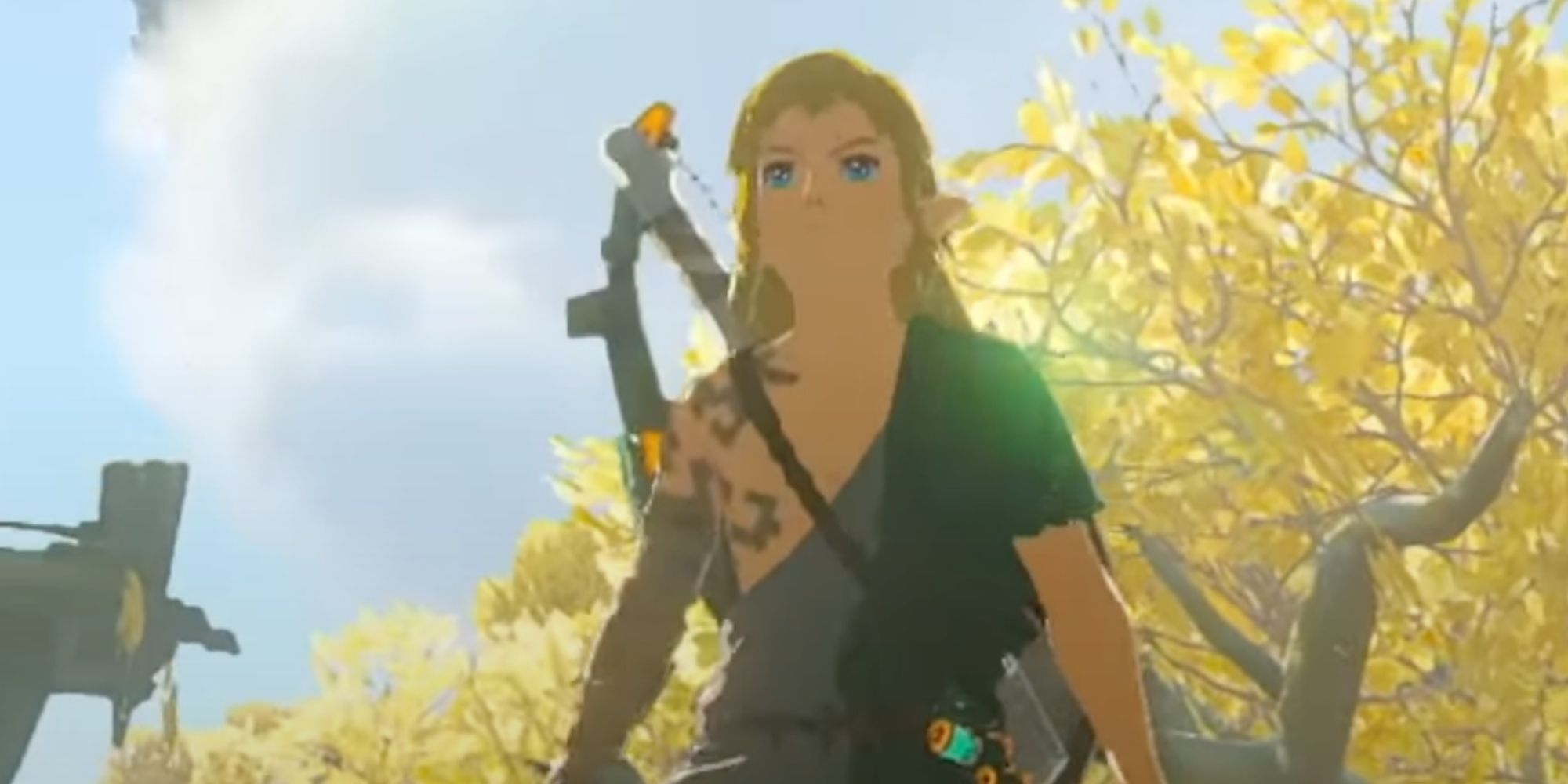 Link Standing In Front Of Yellow Tree And Sky Island