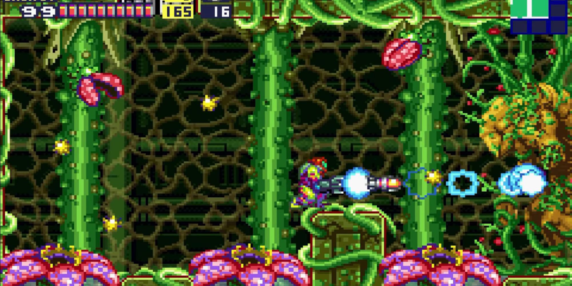Samus shoots missiles at Nettori in an overgrown room