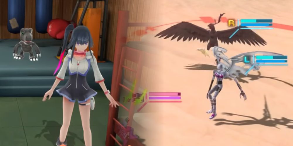 Gym on the left, Battle On the right, both from digimon world next order