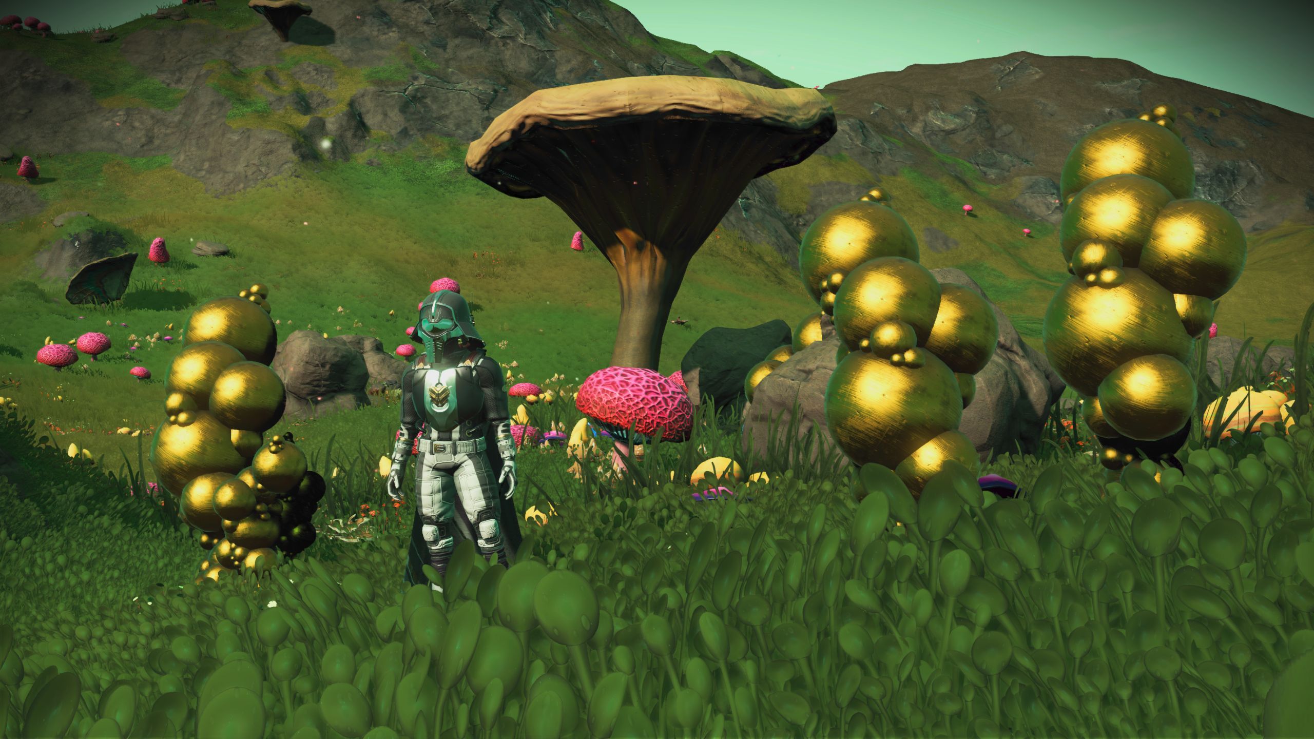 No Man's Sky Utopia Expedition: The Traveler and some Metal Fingers