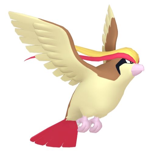 Pidgeot from Pokemon