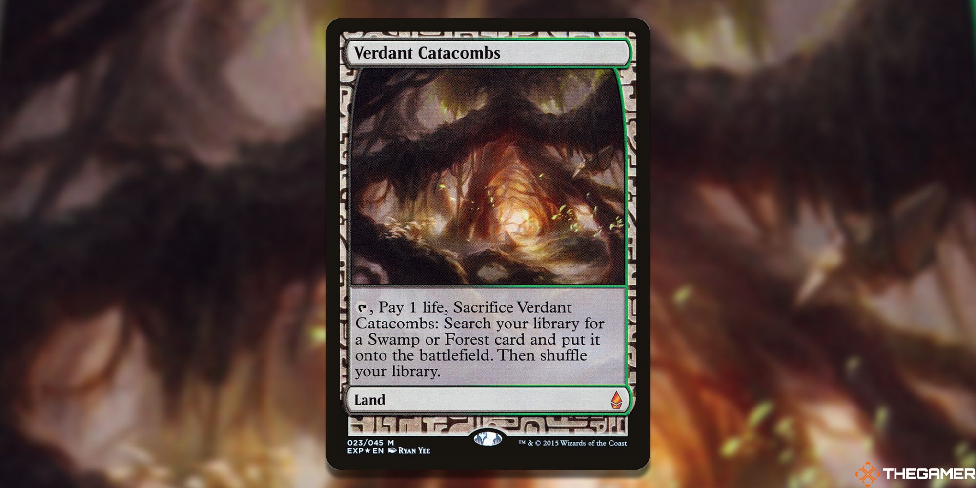 MTG: Verdant Catacombs card