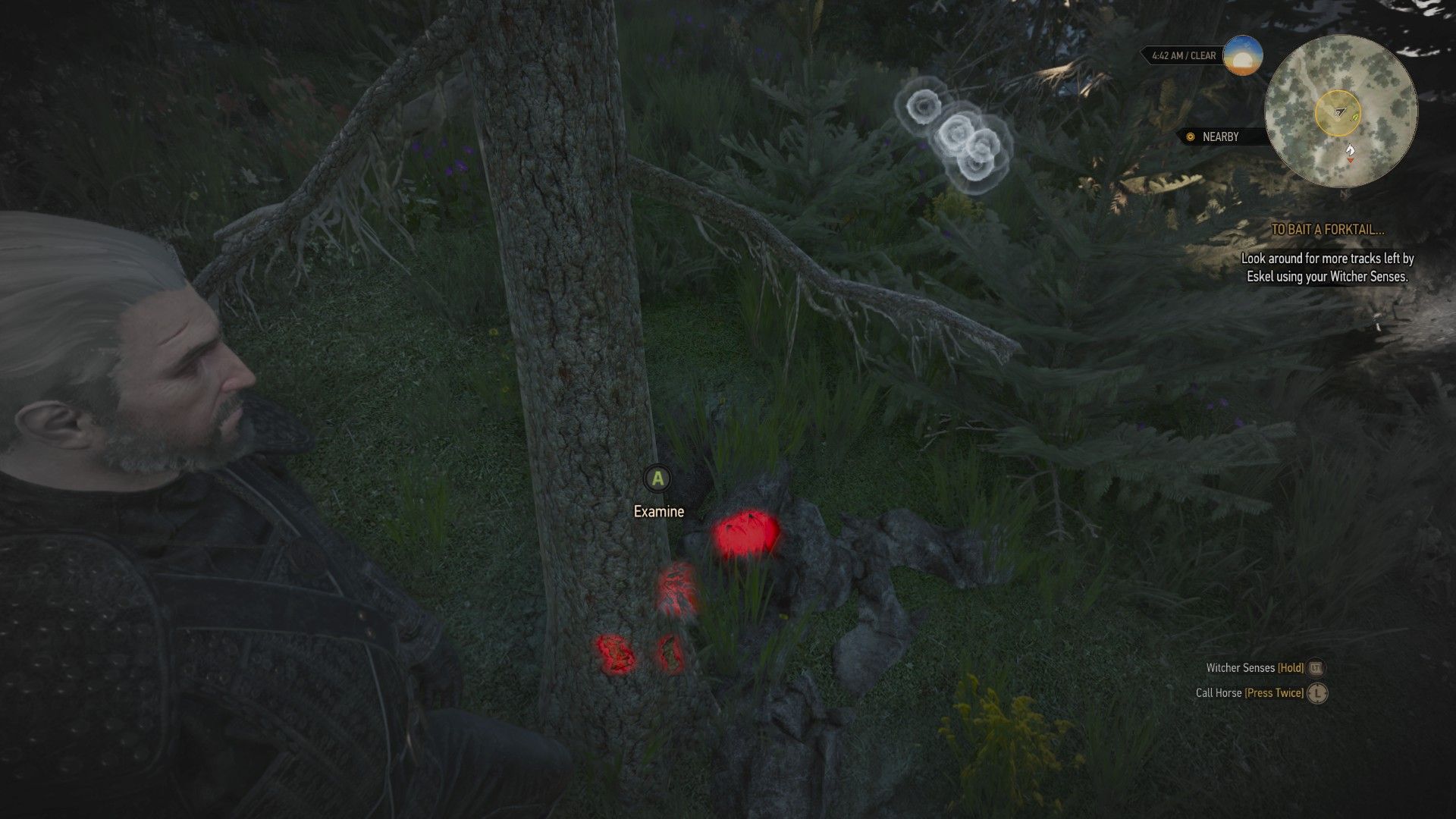A screenshot of The Witcher 3, with Geralt looking at a tuft of fur stuck to a tree's trunk.