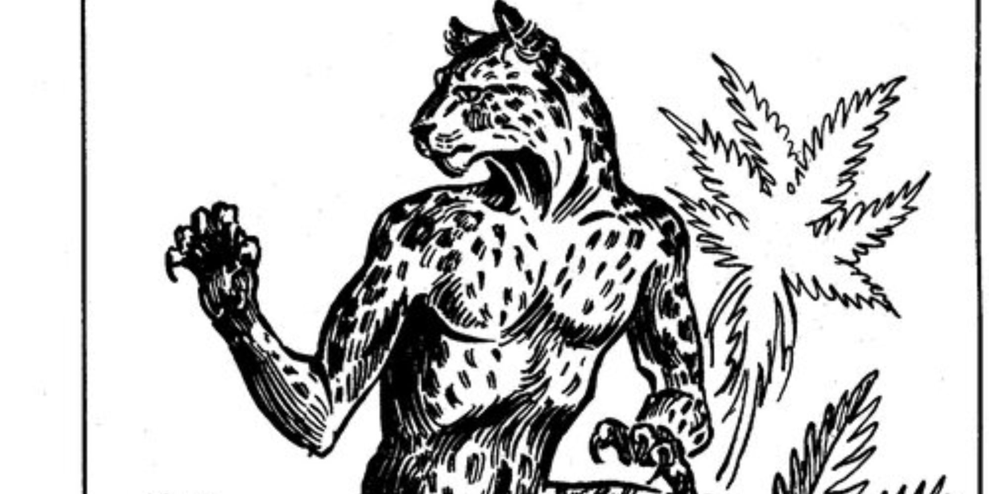 Catfolk art from D&D second edition