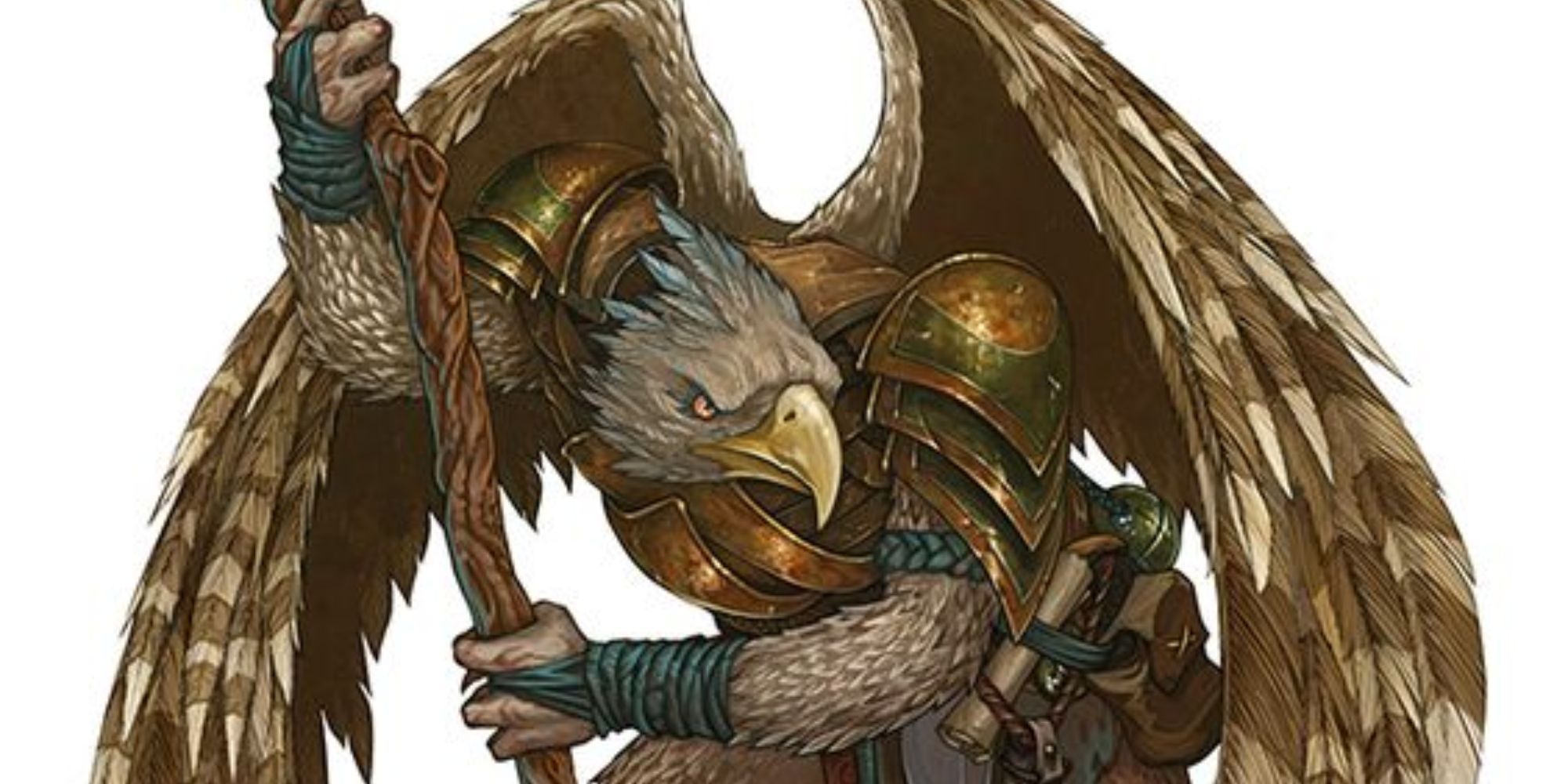 aarakocra wizard holding staff