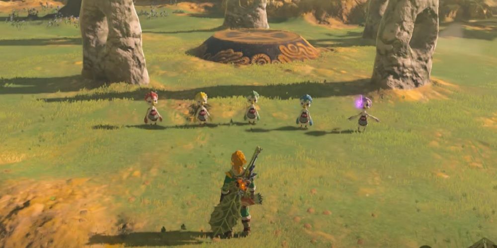 Breath of the Wild Recital at Warbler's Nest Gathering