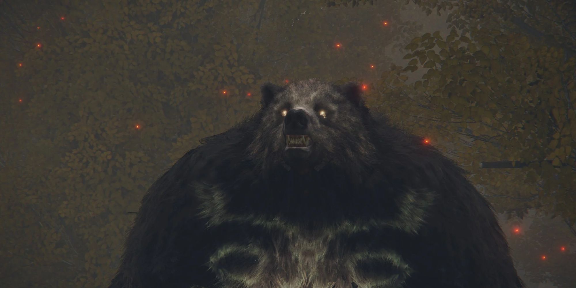 Runebear Elden Ring