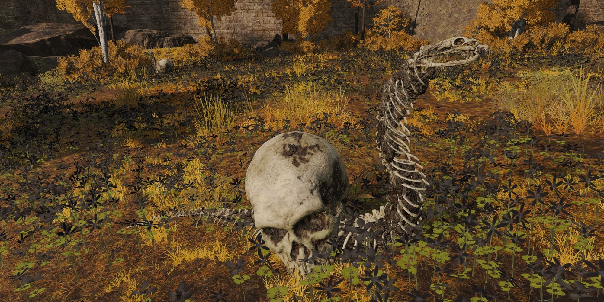 Skeletal Snail Elden Ring