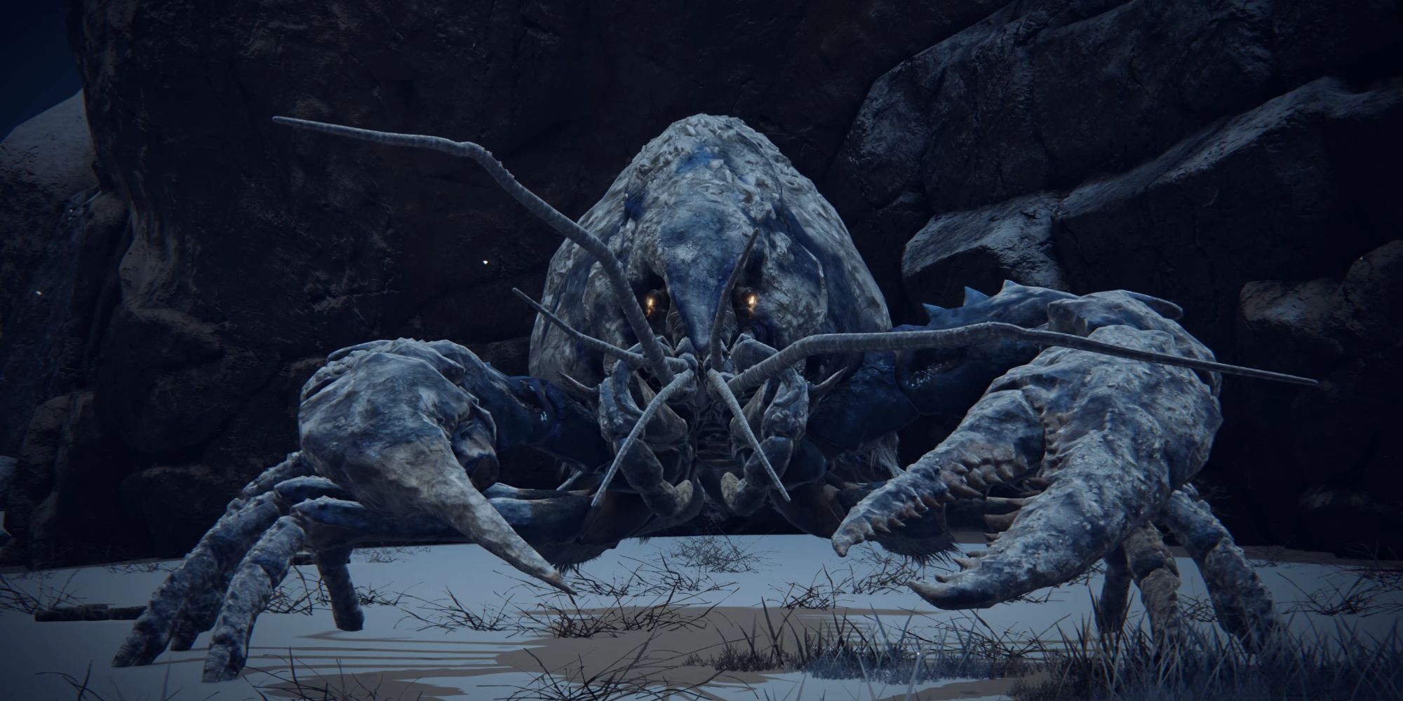 Giant Crayfish Elden Ring