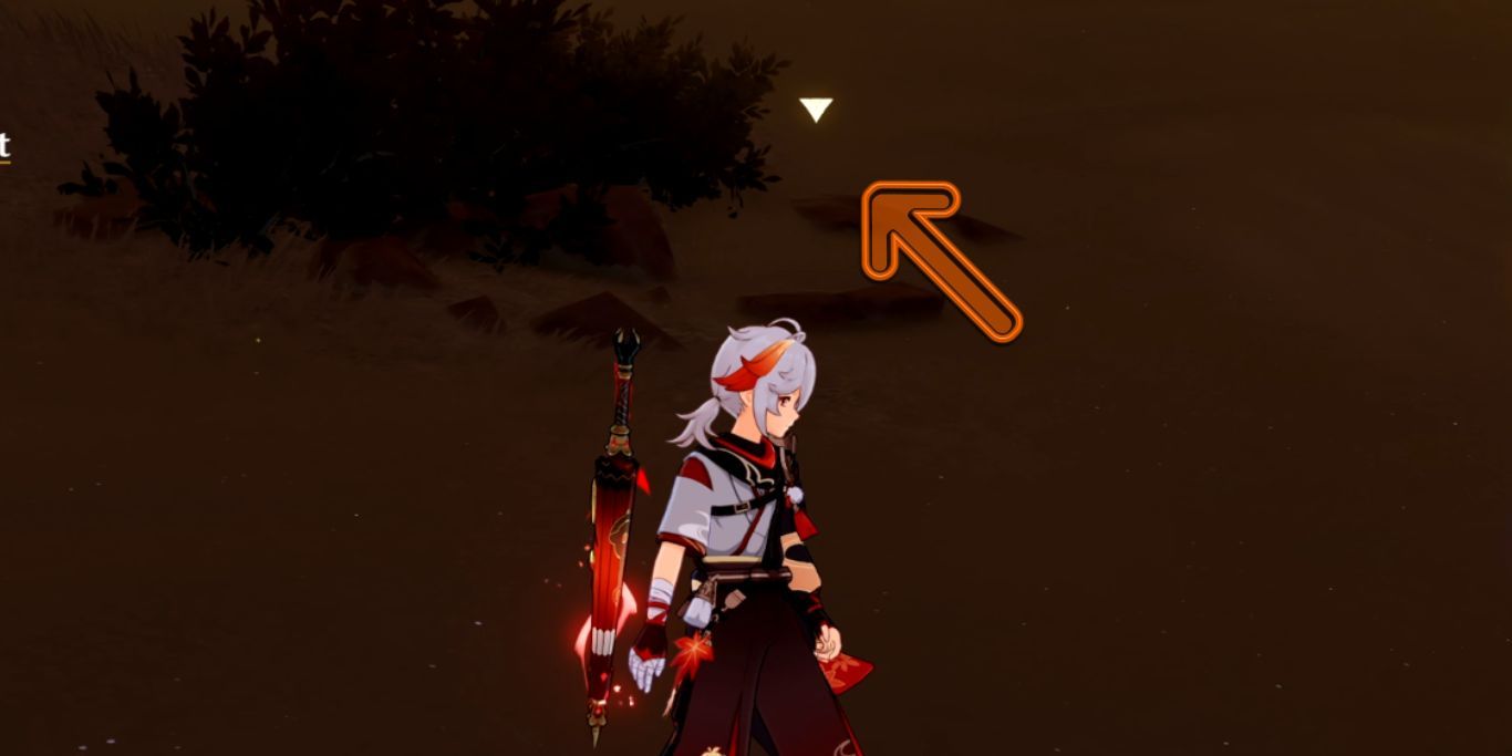 Genshin Impact Desert With White Arrow