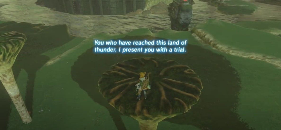 Link arrives on Thundra Plateau in BOTW