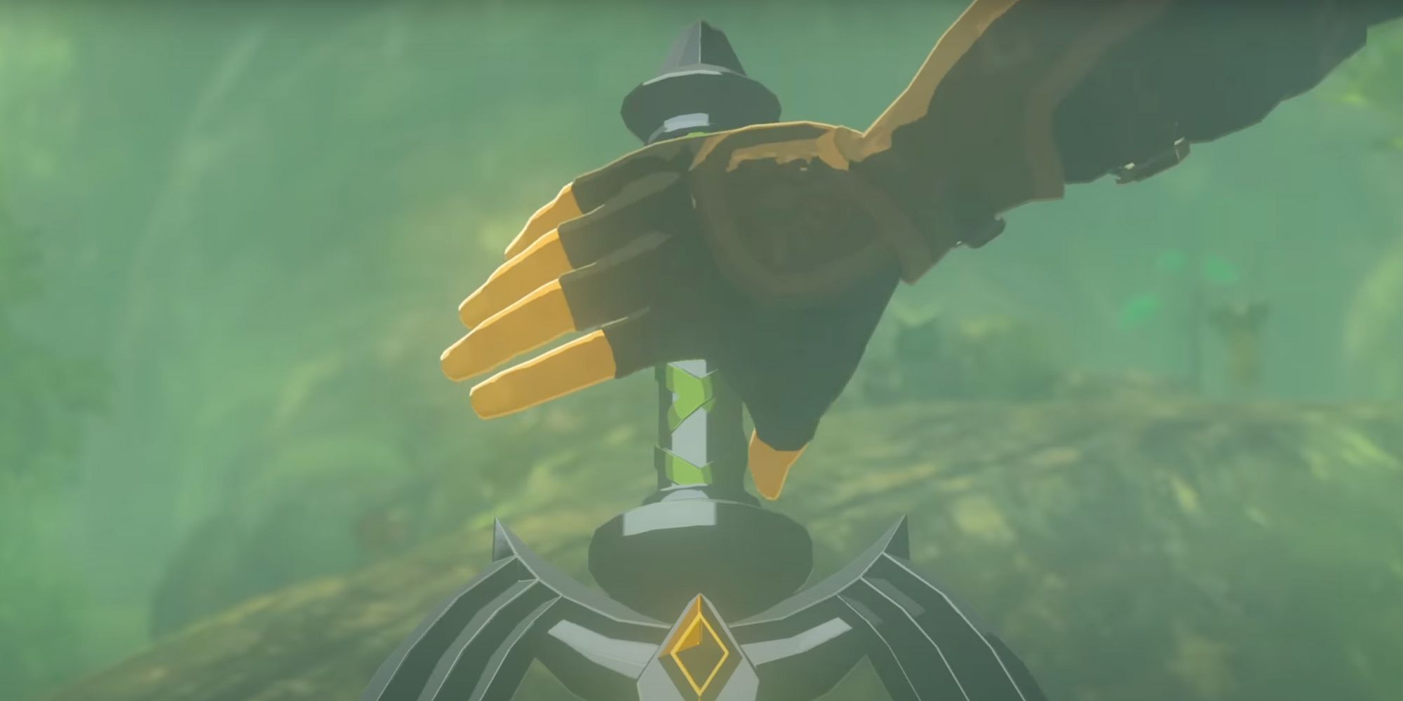 Link's Hand Closing Around The Master Sword's Hilt