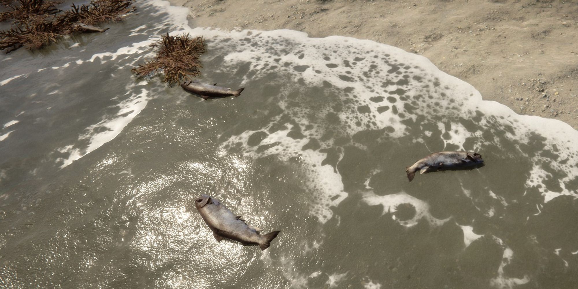Sons Of The Forest Fish On The Coast