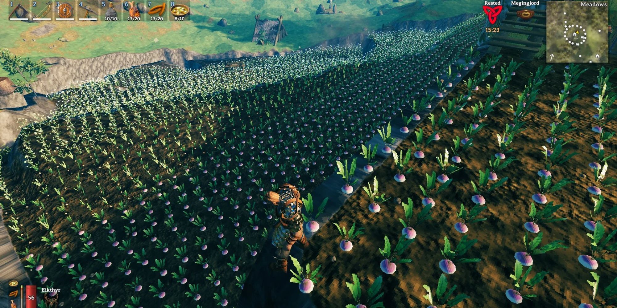valheim turnip field