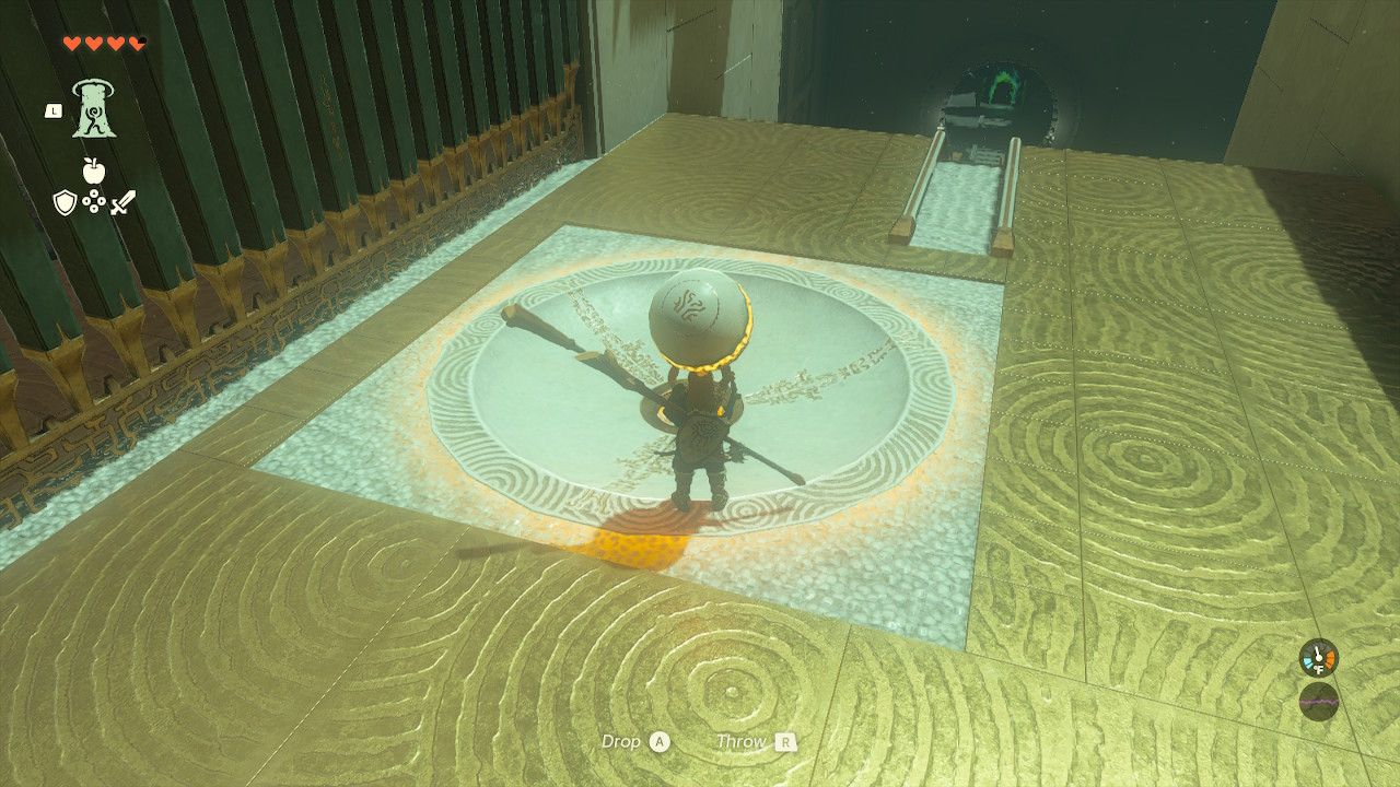 Link Places Orange Ball To Open Gate To Glider In Tears of the Kingdom