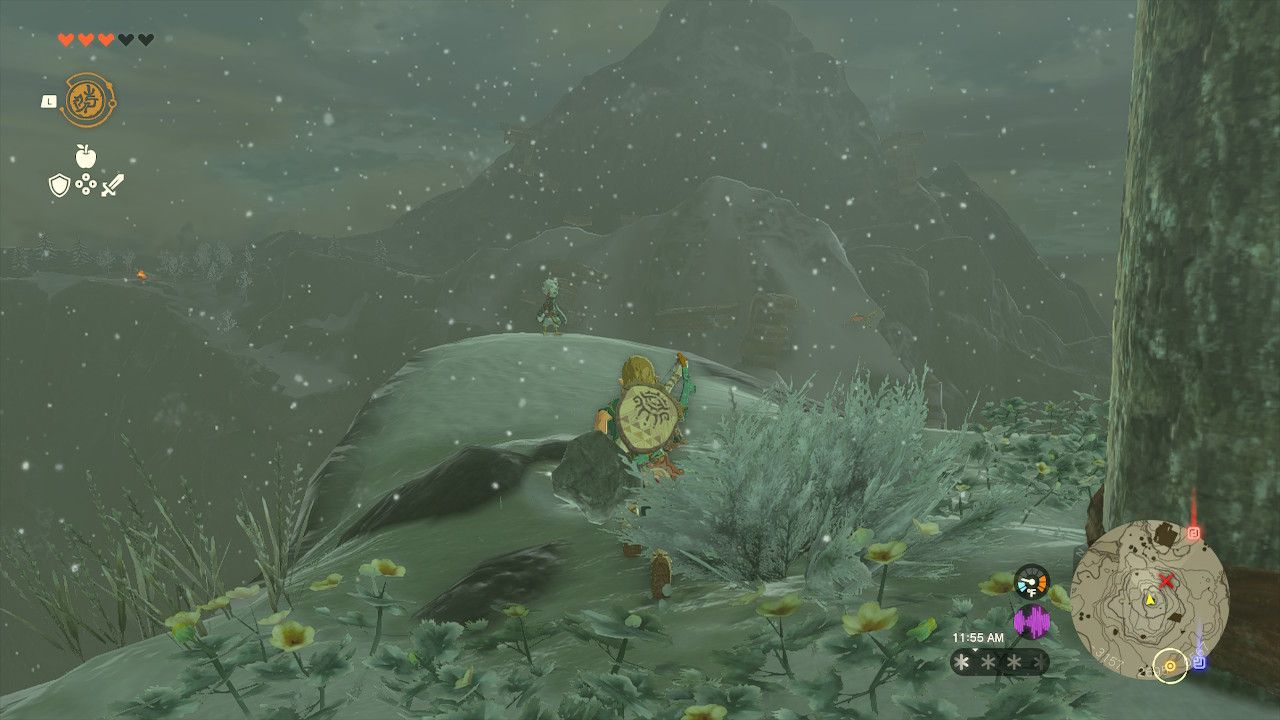Link Runs To Tulin From Cedar Tree To Cliff In Tears Of The Kingdom