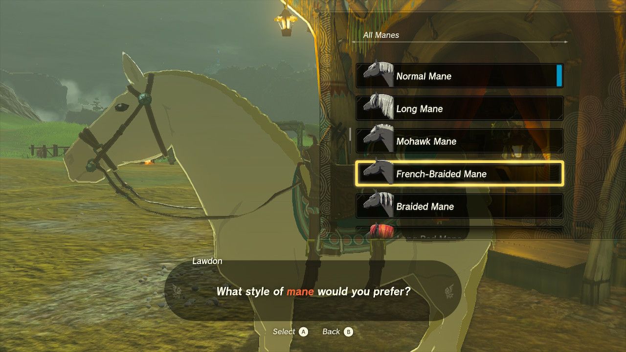 French Braided Mane On White Horse