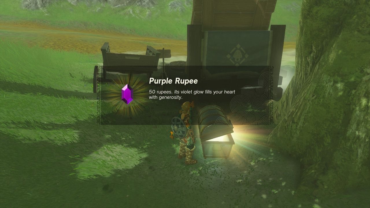 Link Opens Buried Chest To Find A Purple Rupee in The Legend Of Zelda Tears Of The Kingdom.
