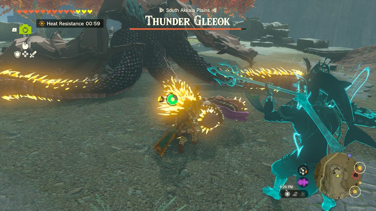 Link Attacks Felled Thunder Gleeok On Ground With Sidon