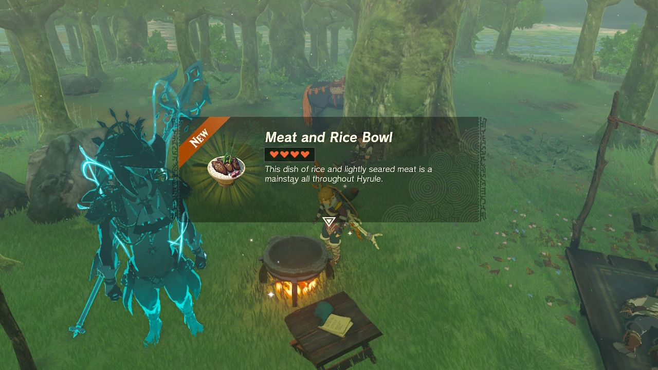 Link Cooks Meat and Rice Bowl At Gourmet Chef Camp With Sidon Avatar In The Legend Of Zelda: Tears Of The Kingdom