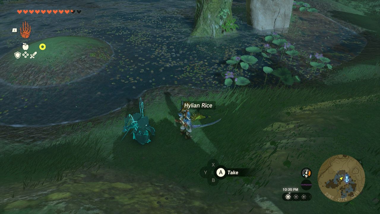 Link Cuts Grass To Find Hylian Rice At Rabella Wetlands Tower
