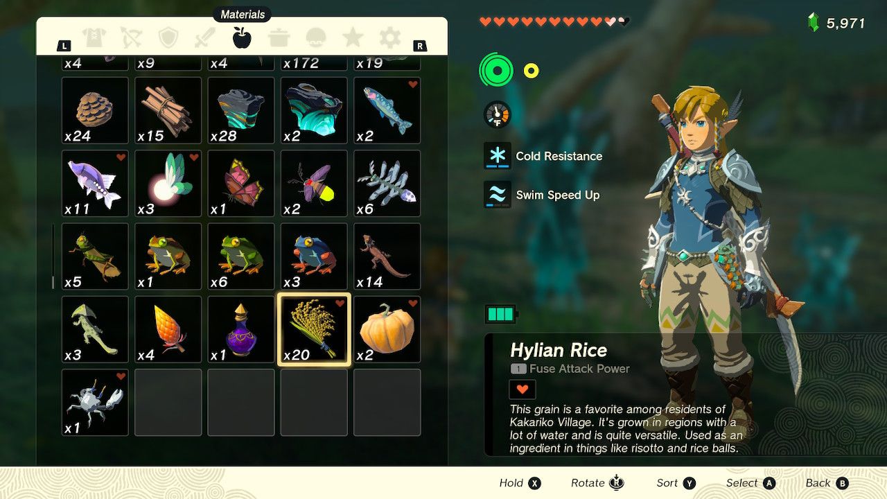 Inventory View Of Twenty Hylian Rice