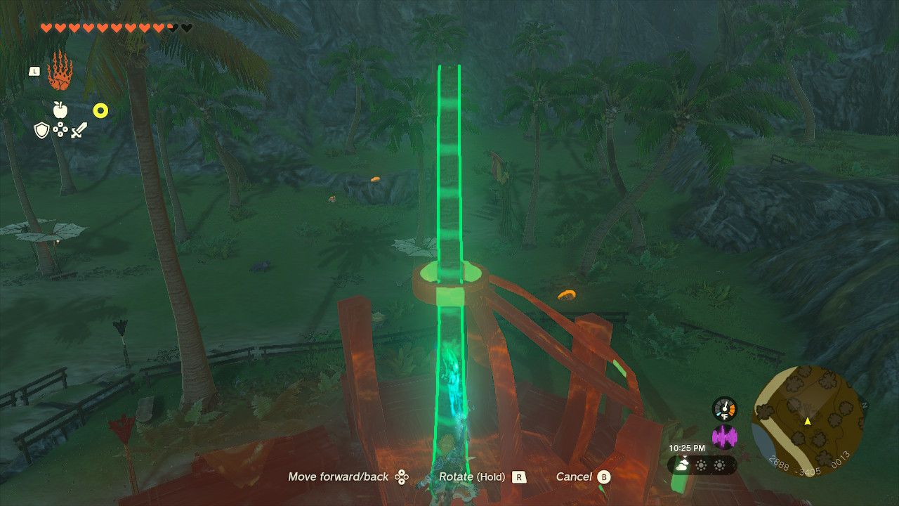 Link Slips Straight Palm Tree Down Central Pillar Spot In House