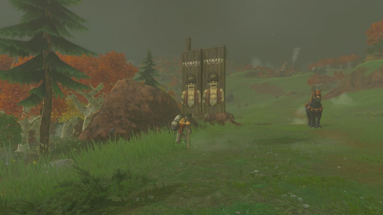 addison holding his sign in akkala tears of the kingdom hudson sign location guide