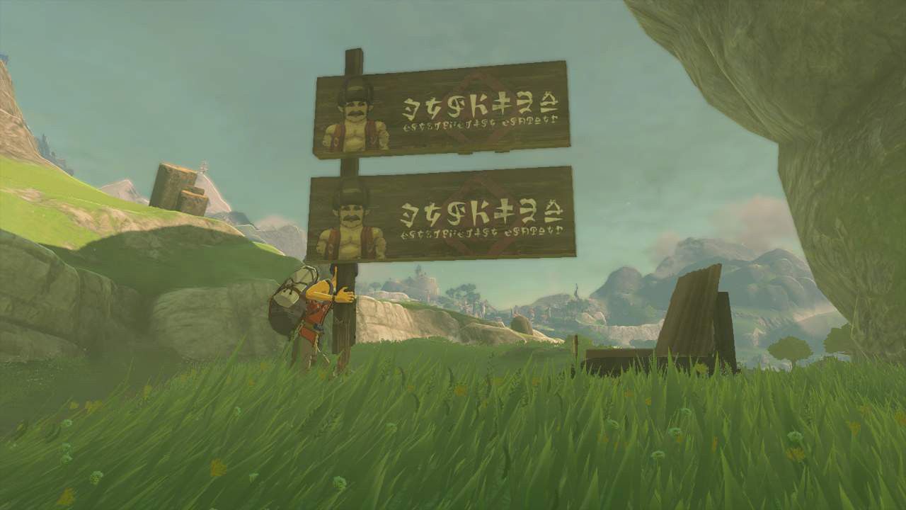 addison holding his sign in central hyrule tears of the kingdom hudson location