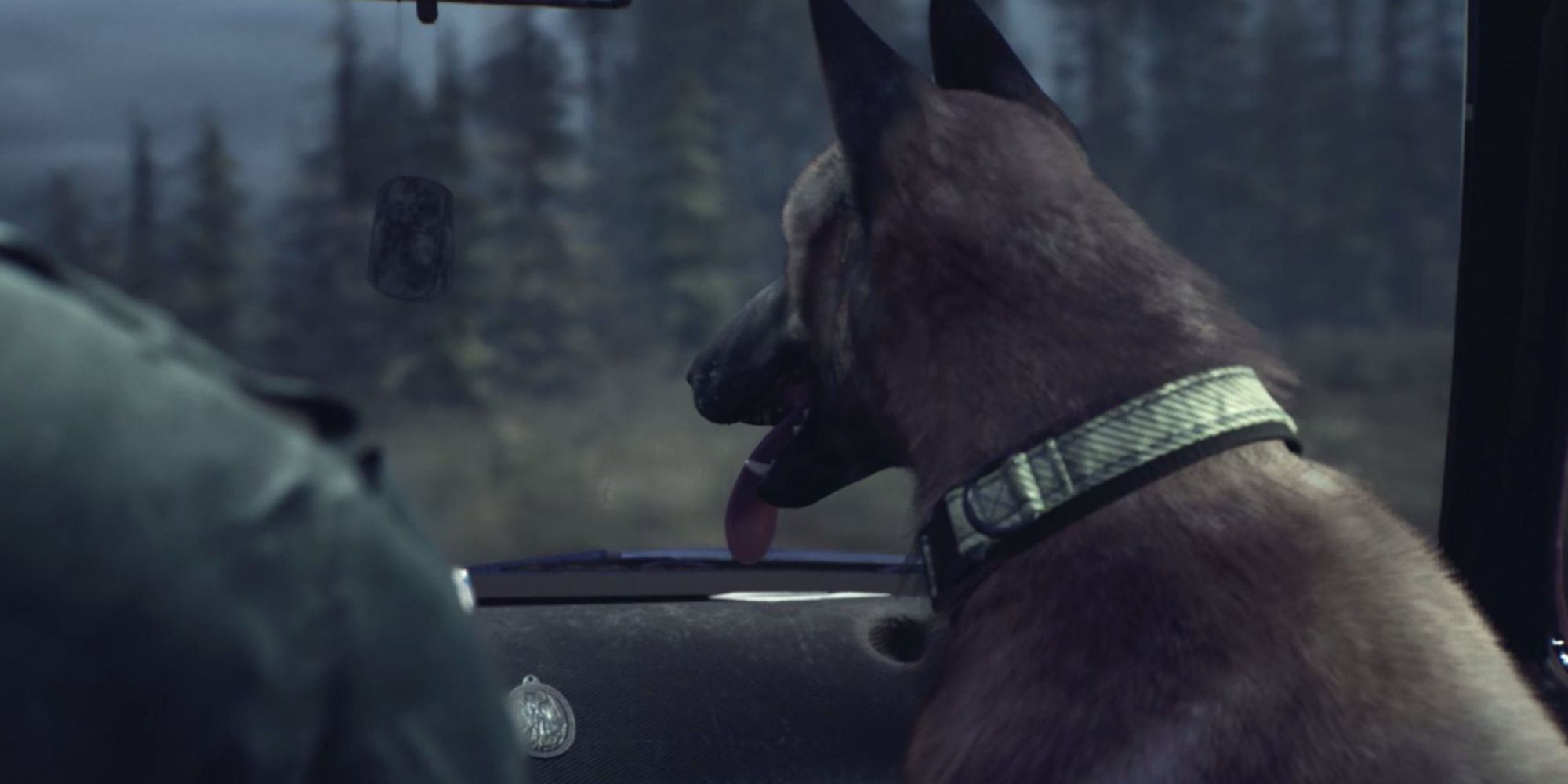 The loyal German Shepherd dog with his ears perked up and tongue out staring out the car windshield as Ellis drives in Blair Witch.
